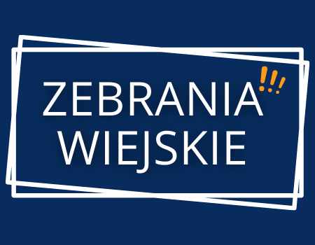 Obraz: